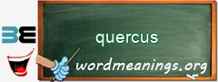 WordMeaning blackboard for quercus